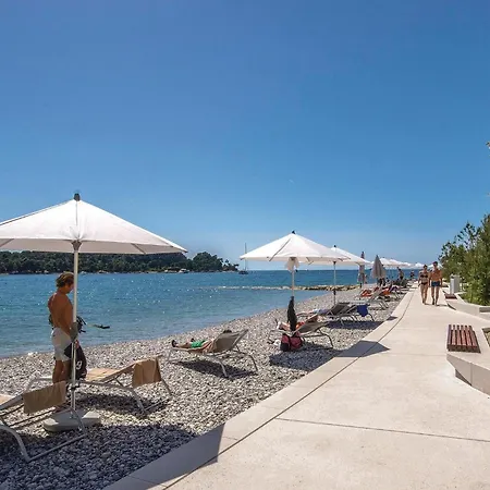 Awesome In With Kitchen *